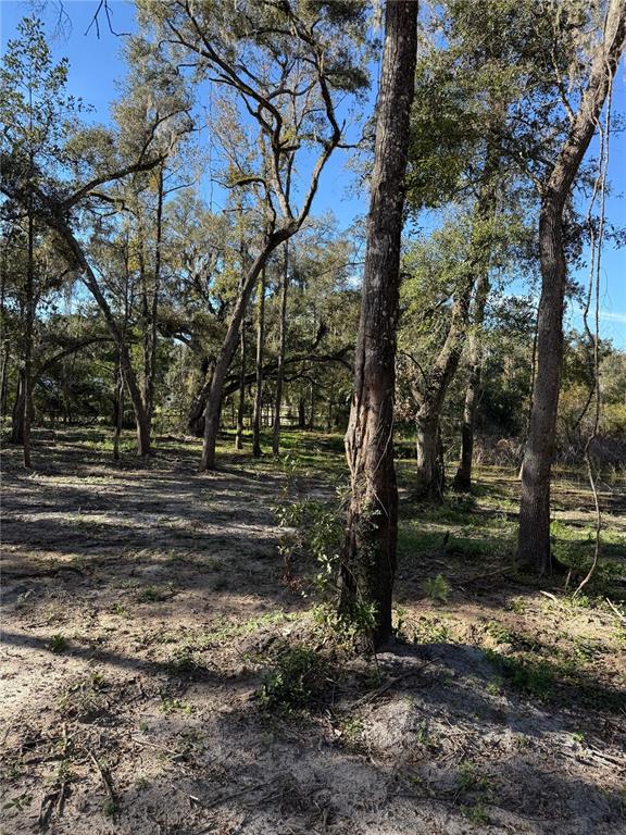 7th Place Ocala, FL 34482 - Photo 4 of 7 a view of backyard with green space