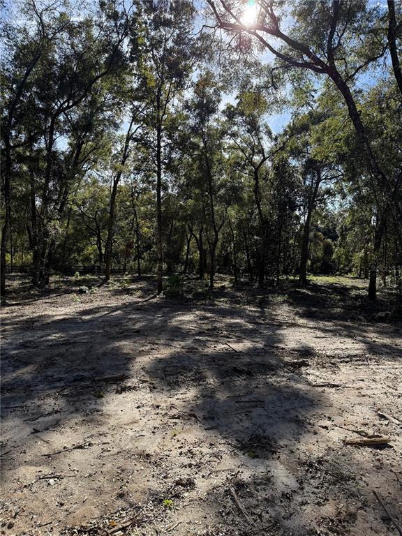 7th Place Ocala, FL 34482 - Photo 5 of 7 a view of outdoor space with trees