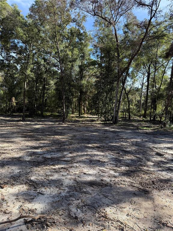 7th Place Ocala, FL 34482 - Photo 6 of 7 a view of outdoor space with green space