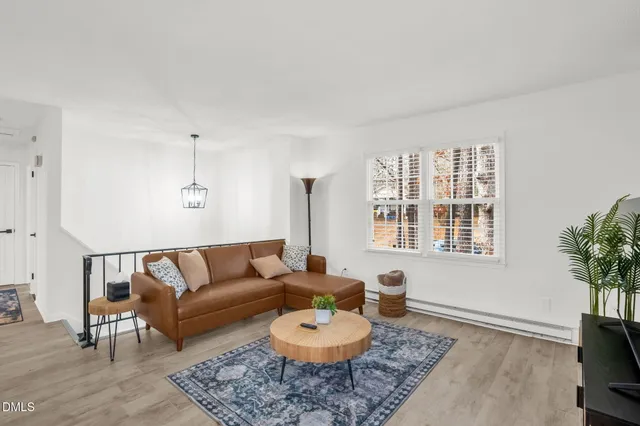 a living room with furniture and a potted plant