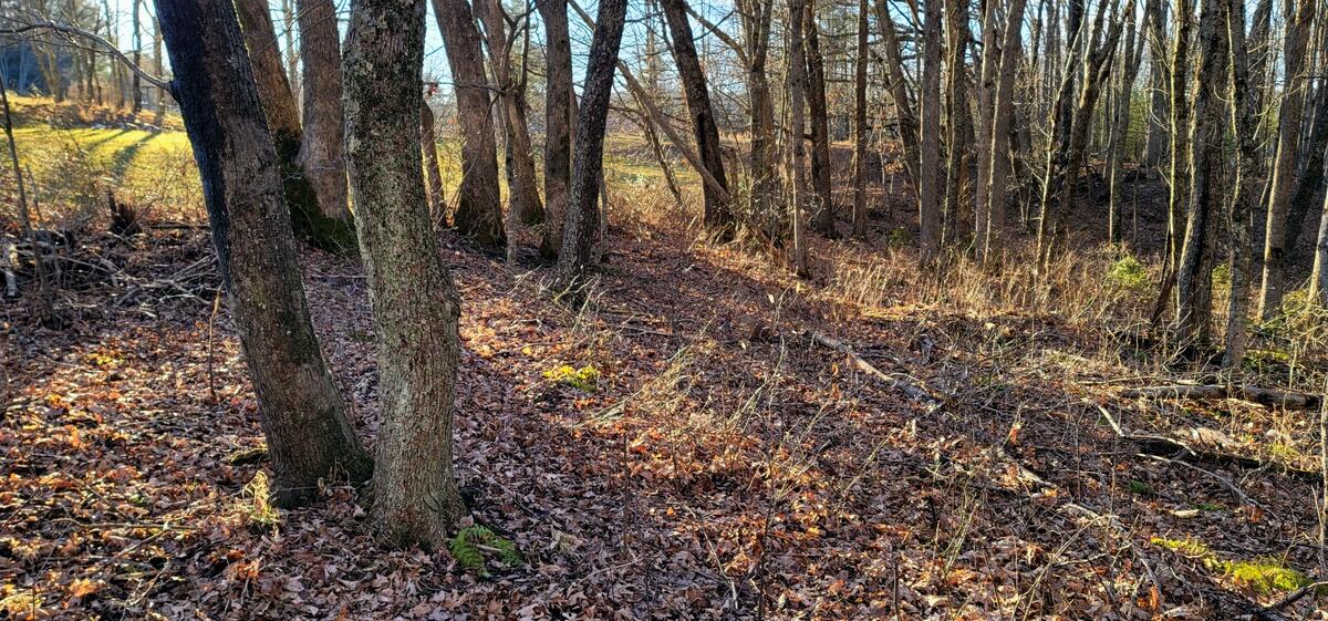 2451 Ritter Drive Shady Spring, WV 25918 - Photo 4 of 24 Gallery Image 4