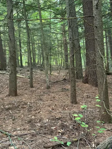 $129,000 | 344 Dickinson Hill Road, Bolton, NY 12824