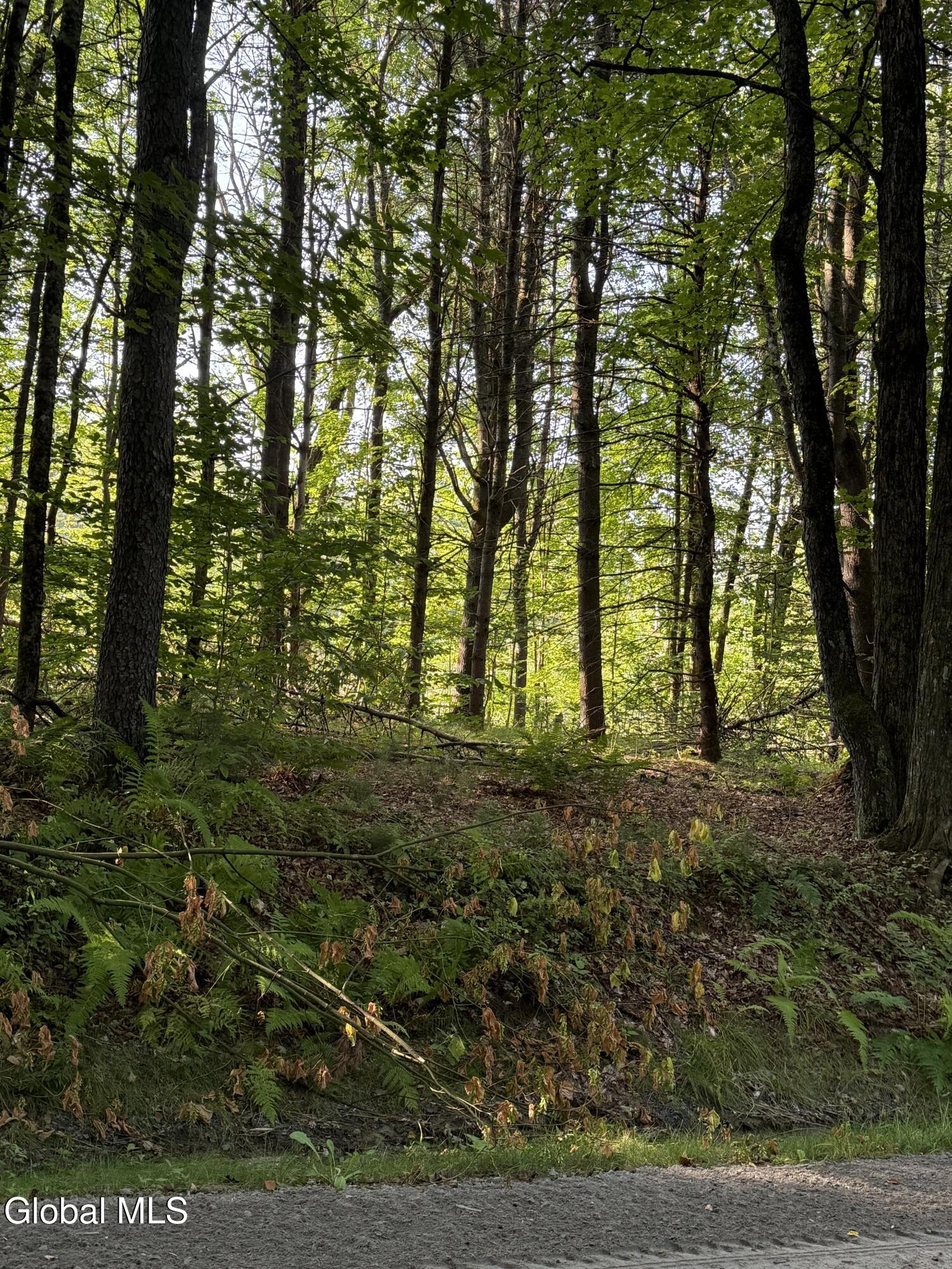 344 Dickinson Hill Road Bolton, NY 12824 - Photo 2 of 4 Lot 8 Road