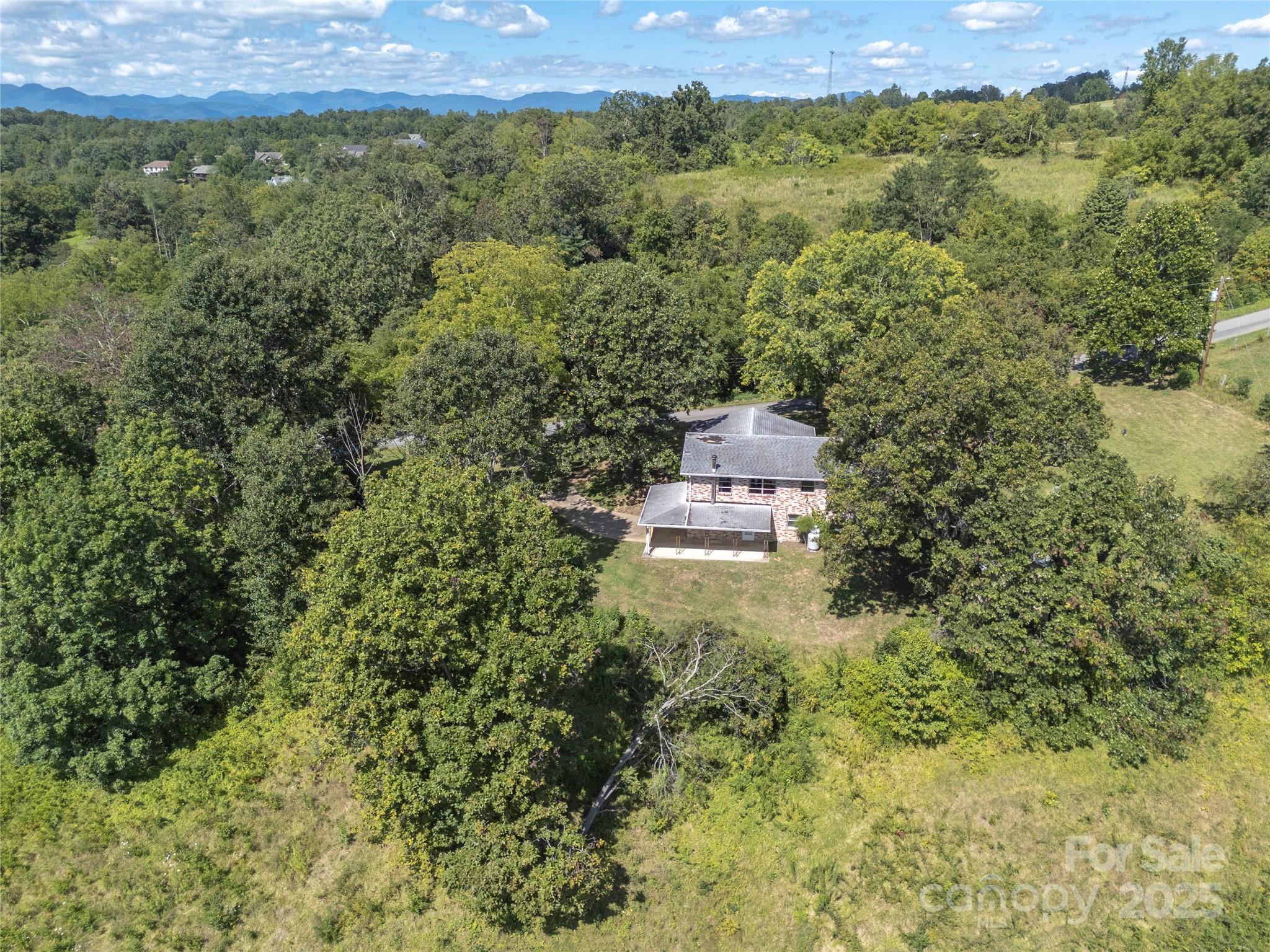 56 Gill Branch Road Weaverville, NC 28787 - Photo 30 of 47 a view of a forest with a houses