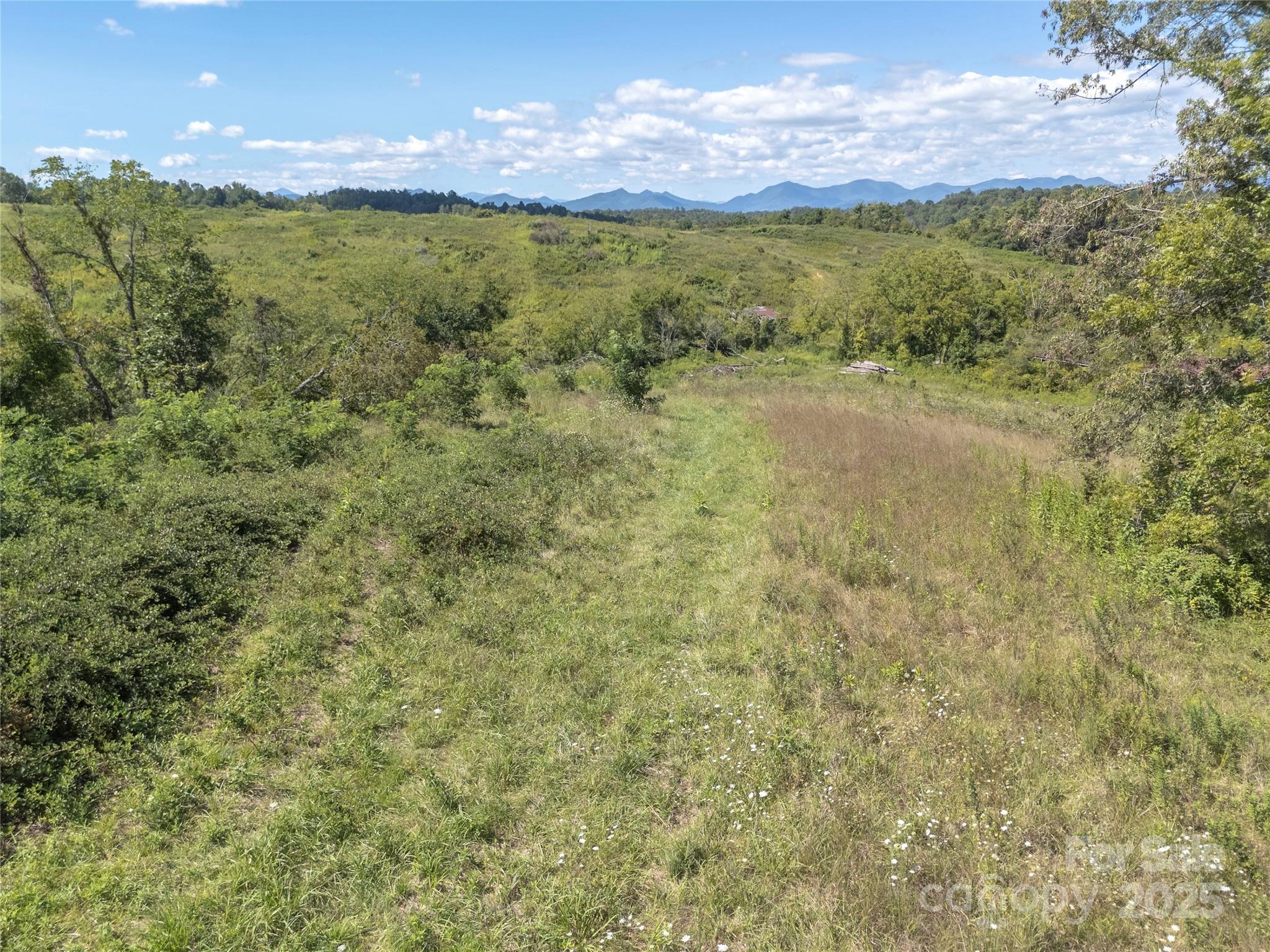 56 Gill Branch Road Weaverville, NC 28787 - Photo 33 of 47 a view of a field with an trees around