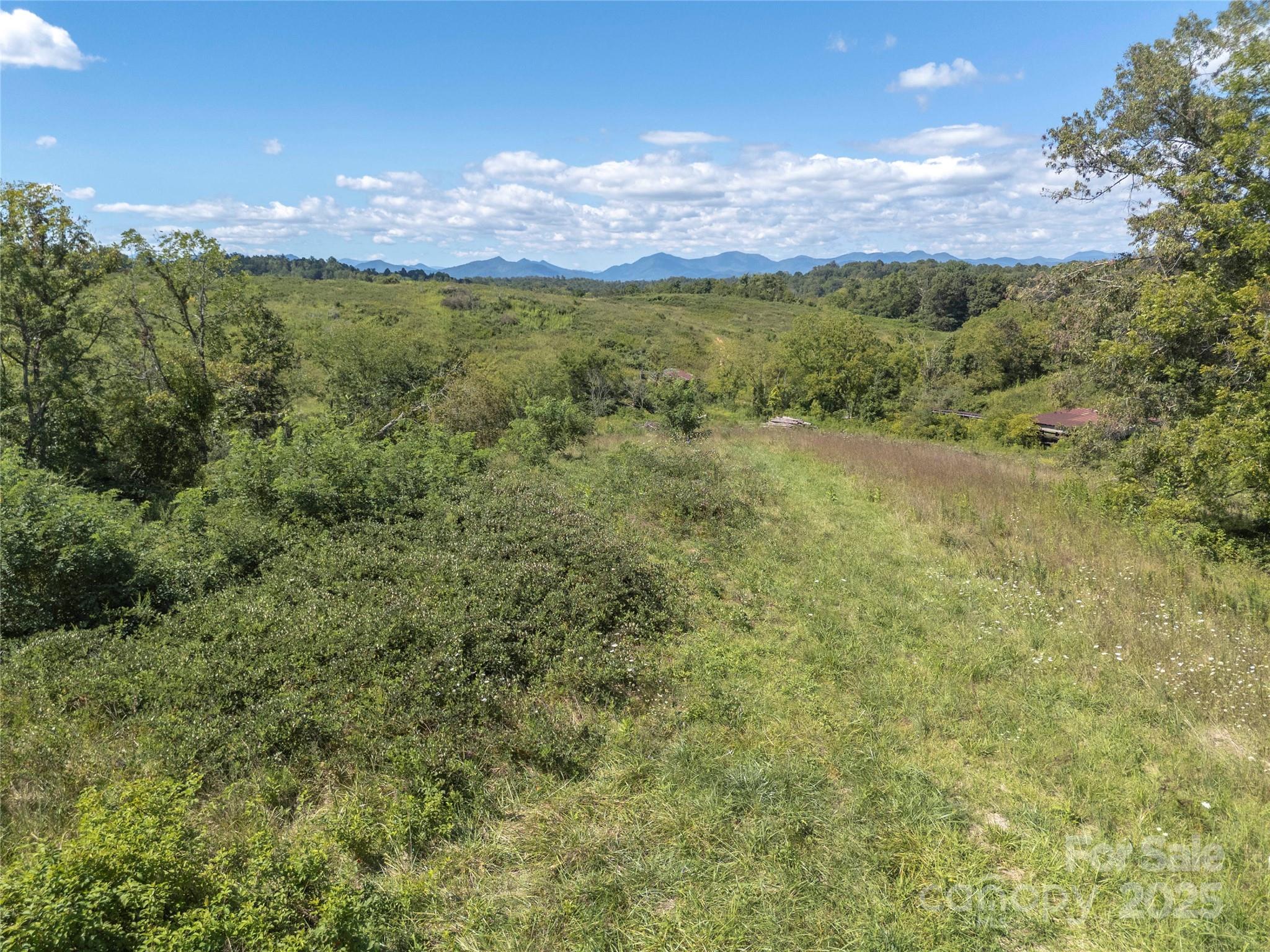 56 Gill Branch Road Weaverville, NC 28787 - Photo 35 of 47 a view of a yard with an outdoor space