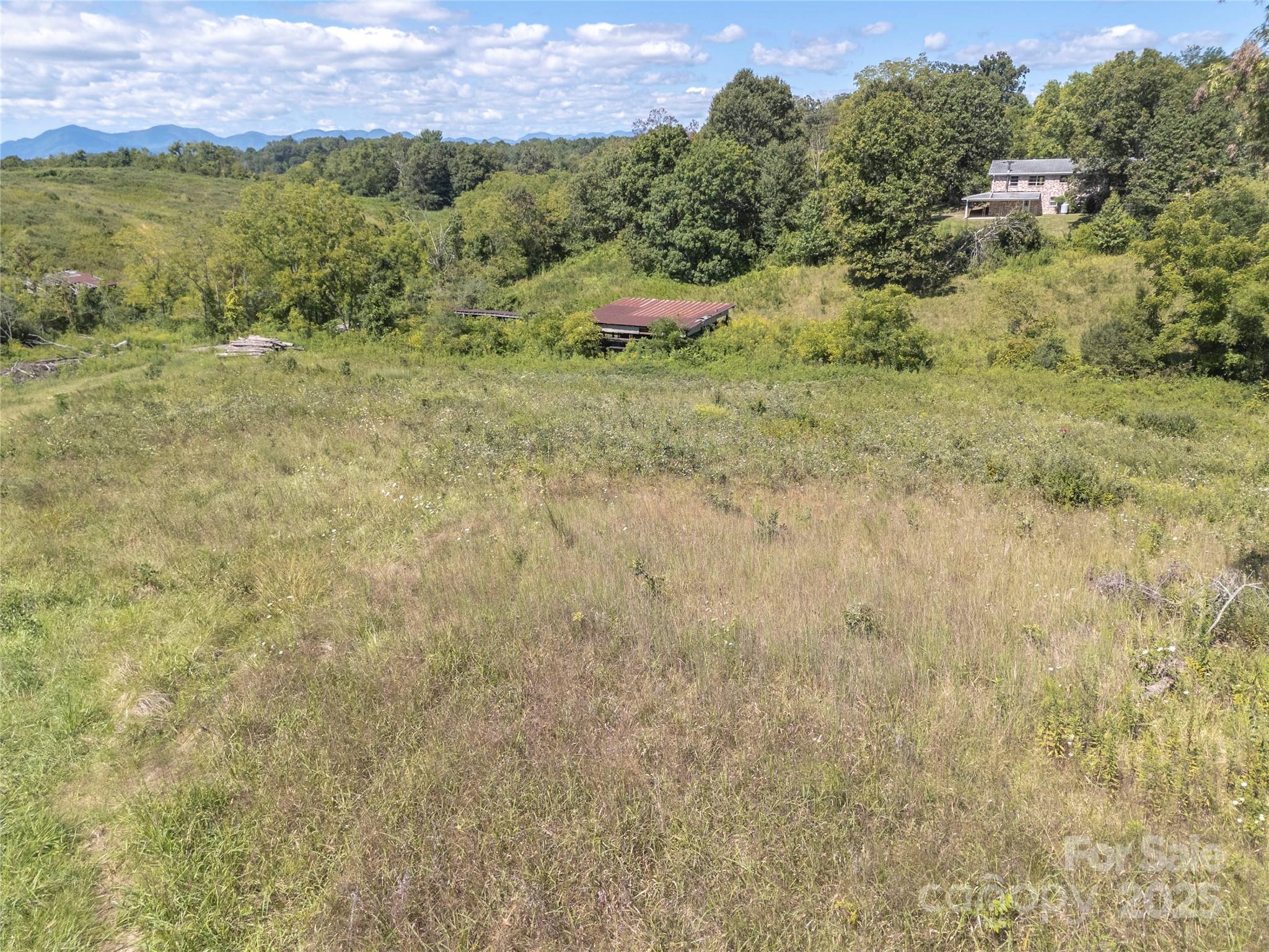 56 Gill Branch Road Weaverville, NC 28787 - Photo 36 of 47 a view of a field with a tree in the background