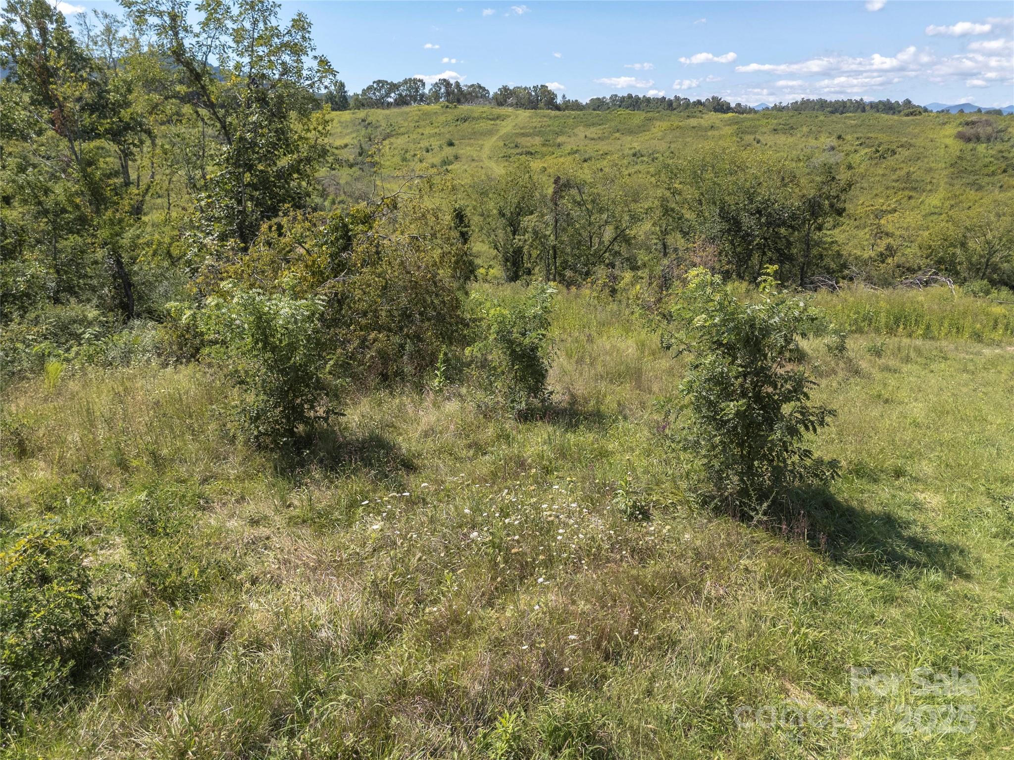 56 Gill Branch Road Weaverville, NC 28787 - Photo 37 of 47