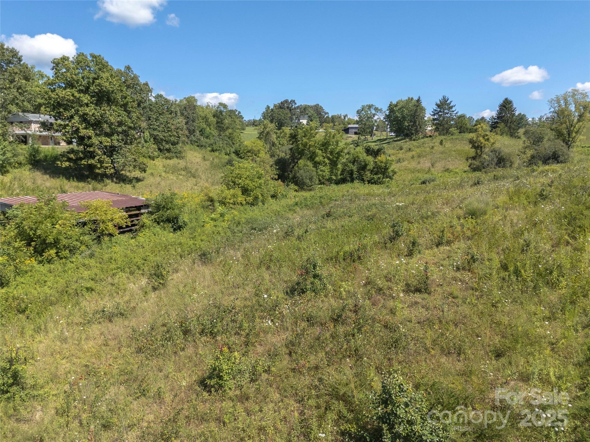 56 Gill Branch Road Weaverville, NC 28787 - Photo 38 of 47 a view of a forest with a houses