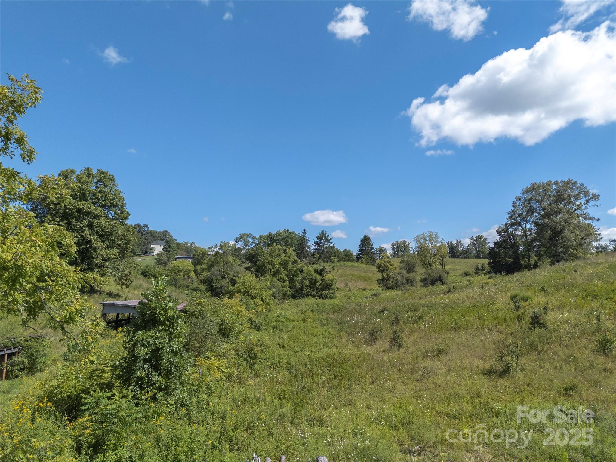 56 Gill Branch Road Weaverville, NC 28787 - Photo 39 of 47 a view of a city