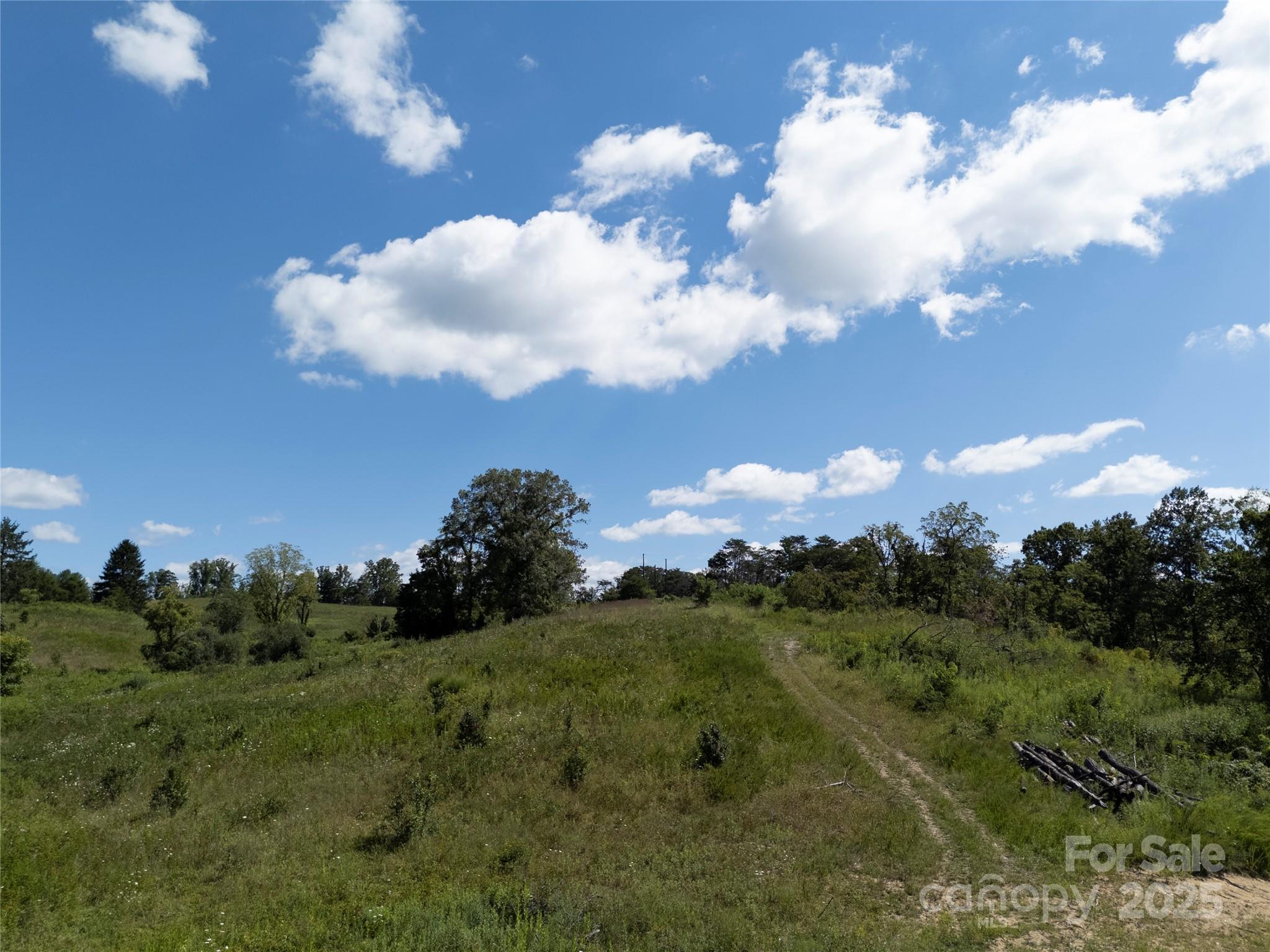 56 Gill Branch Road Weaverville, NC 28787 - Photo 40 of 47 a view of a bunch of trees in middle of green field