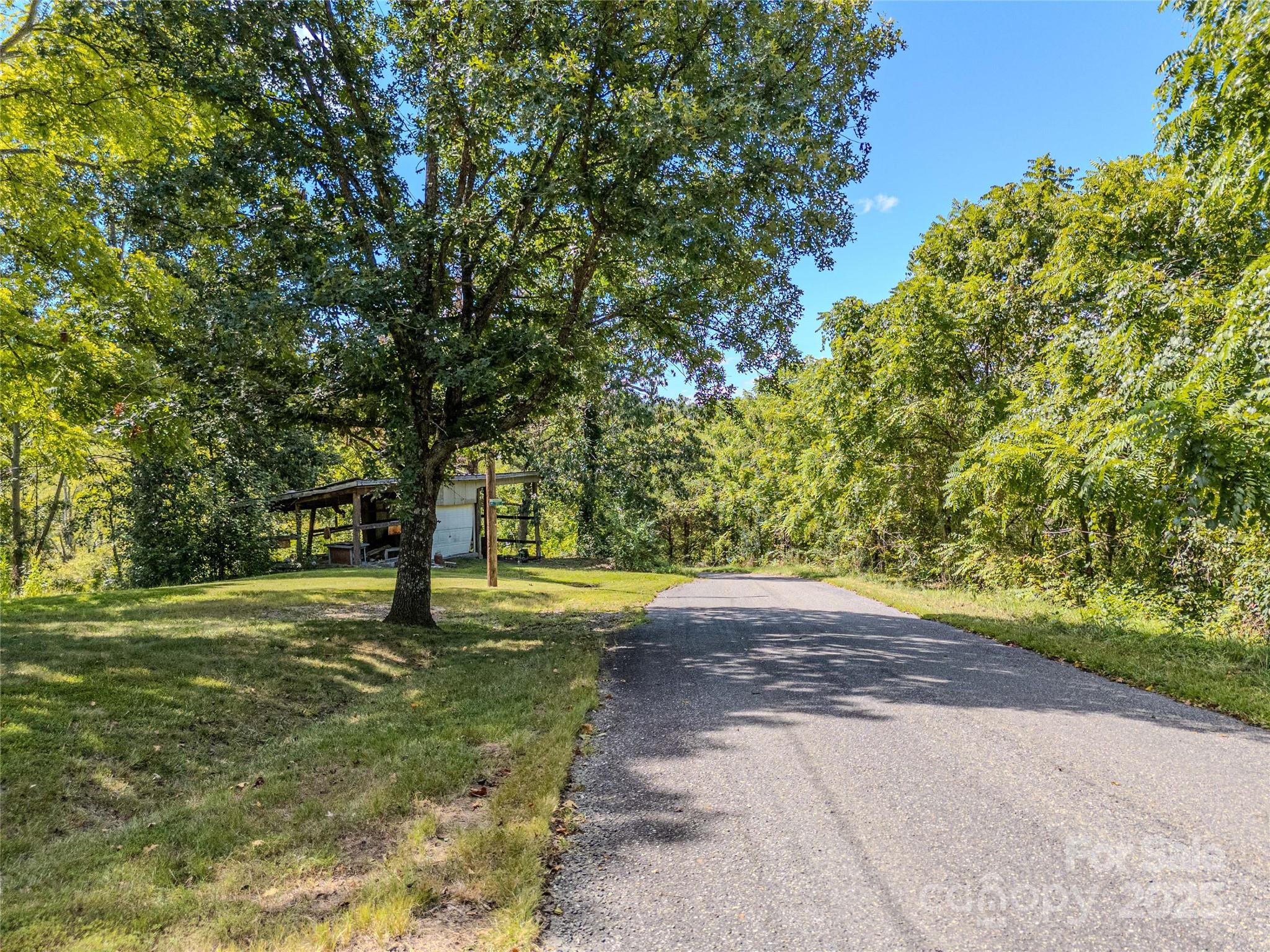 56 Gill Branch Road Weaverville, NC 28787 - Photo 47 of 47 a view of a trees in a yard