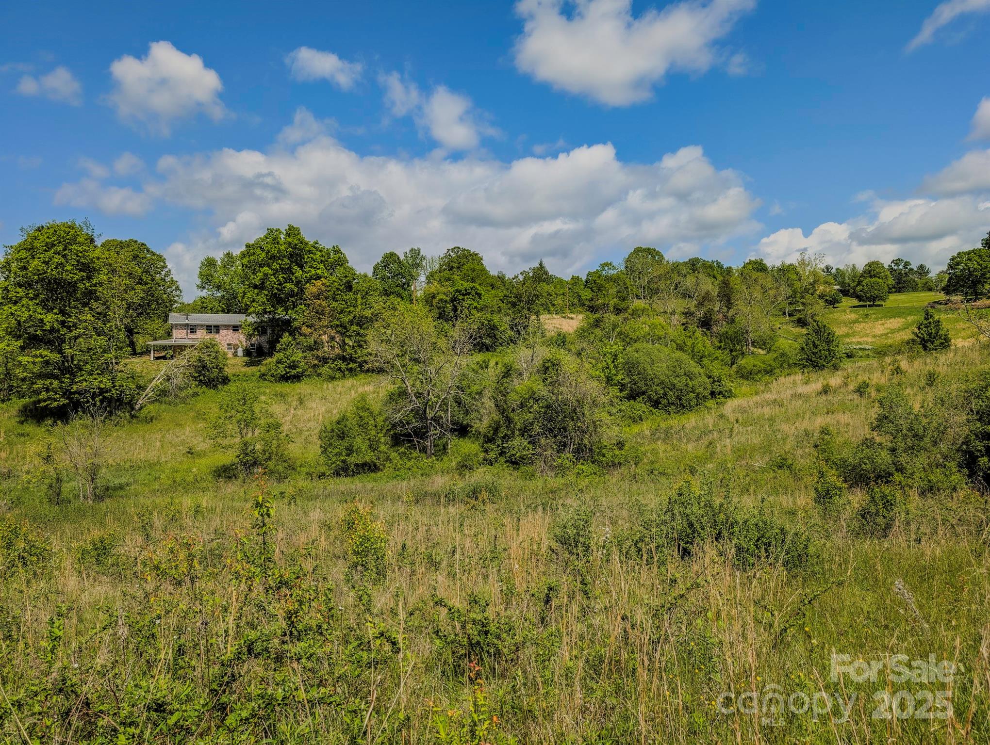 56 Gill Branch Road Weaverville, NC 28787 - Photo 10 of 47 a view of a bunch of trees and bushes