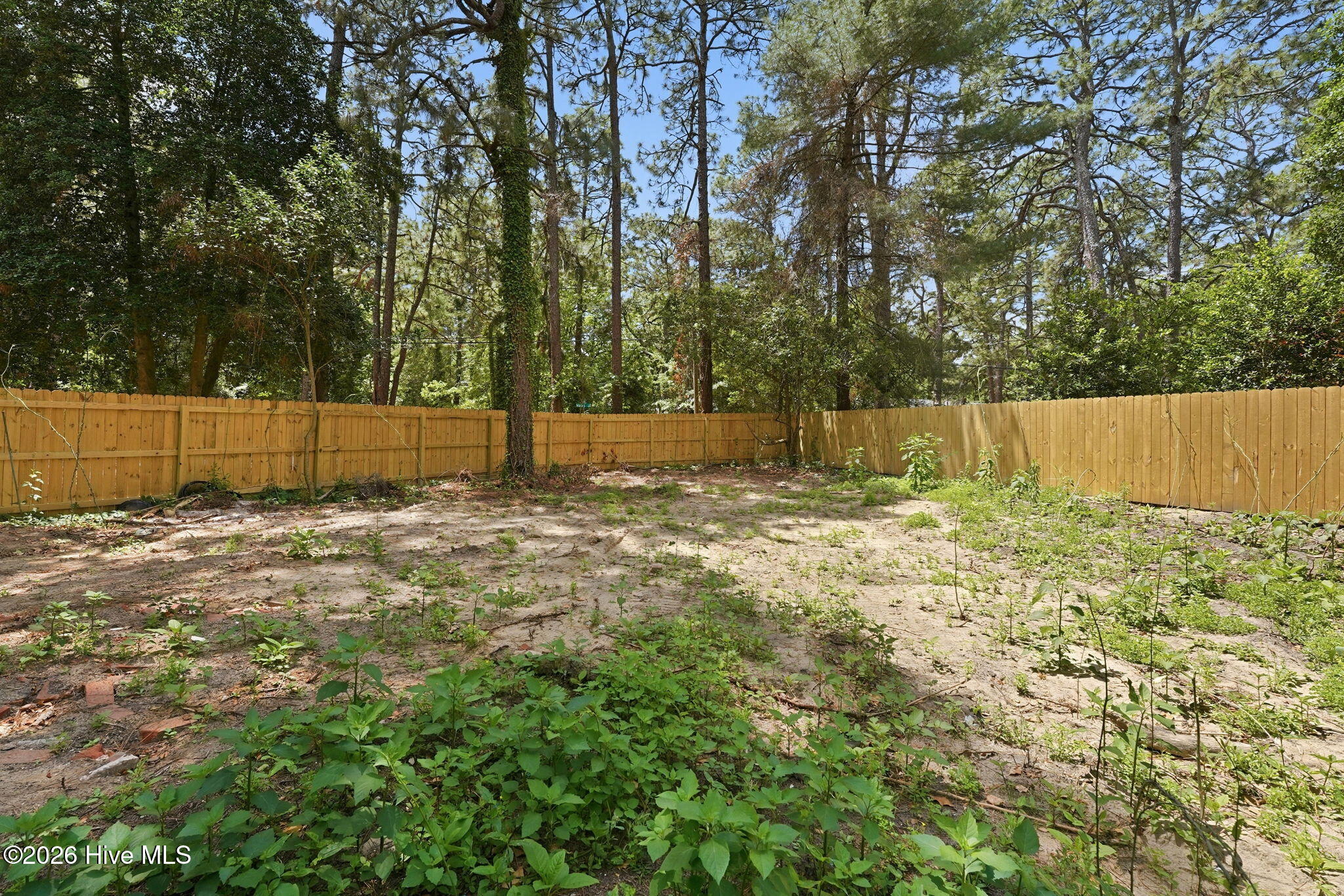 4084 Youngs Road Southern Pines, NC 28387 - Photo 52 of 56 44-web-or-mls-DSC07453