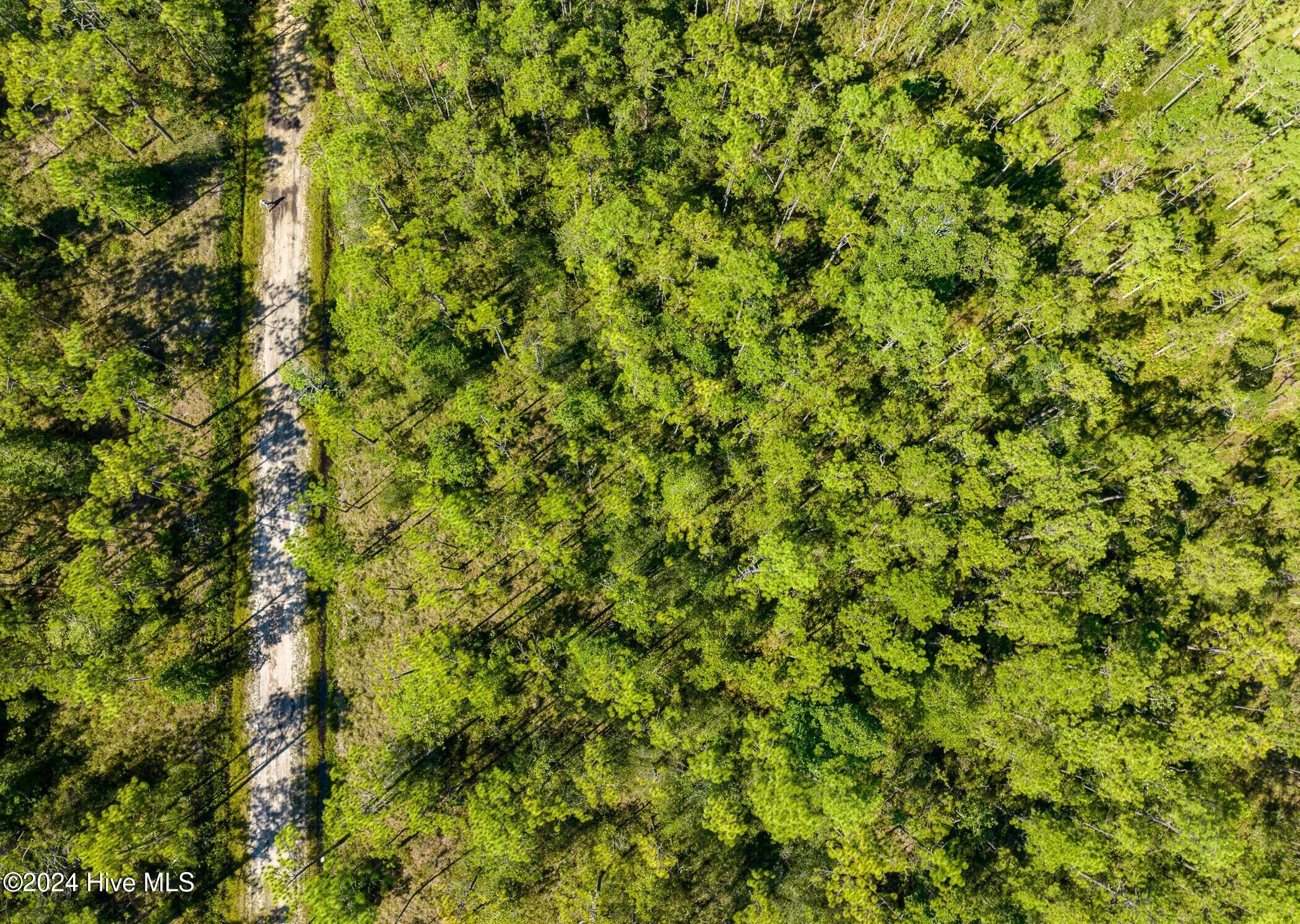361 Cresent Road Southport, NC 28461 - Photo 2 of 3 crescent2