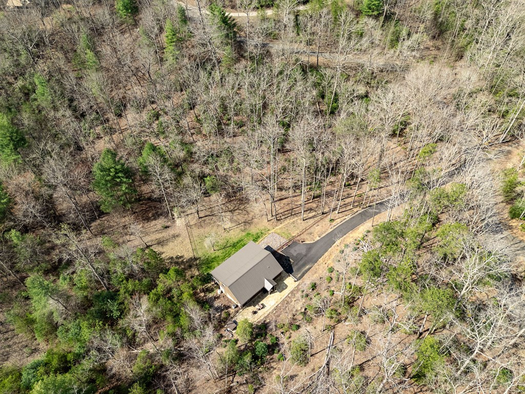 1220 Burger Road Murphy, NC 28906 - Photo 84 of 96 Gallery Image 84
