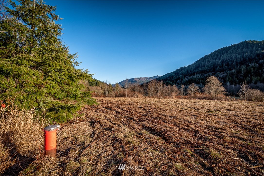 4433 Park Road Sedro-Woolley, WA 98284 - Photo 16 of 19 Gallery Image 16
