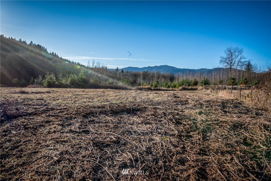 4433 Park Road Sedro-Woolley, WA 98284 - Photo 8 of 19 Gallery Image 8