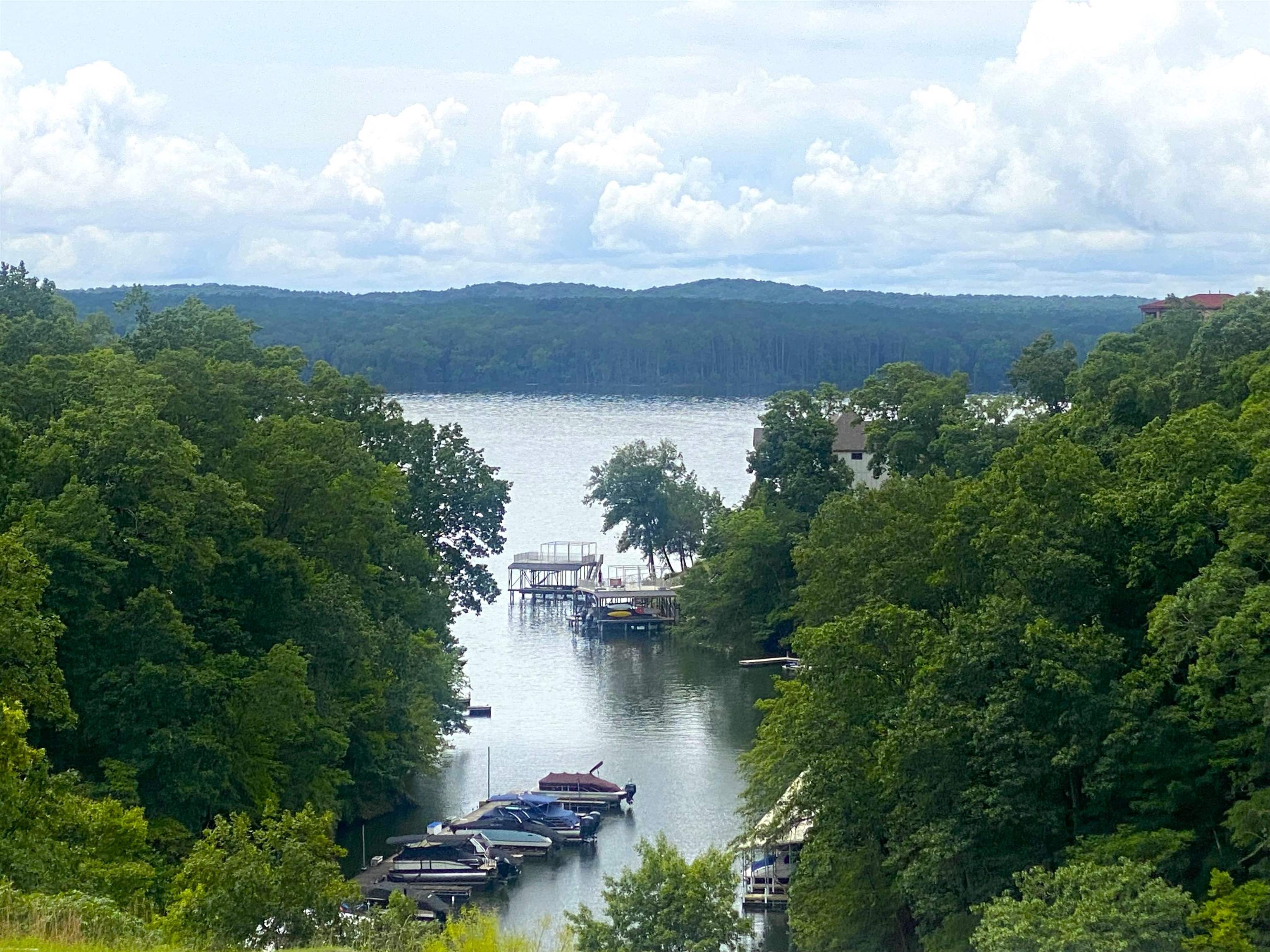 Lot 2 Light Point Savannah, TN 38372 - Photo 11 of 12 Water view with a boat slip