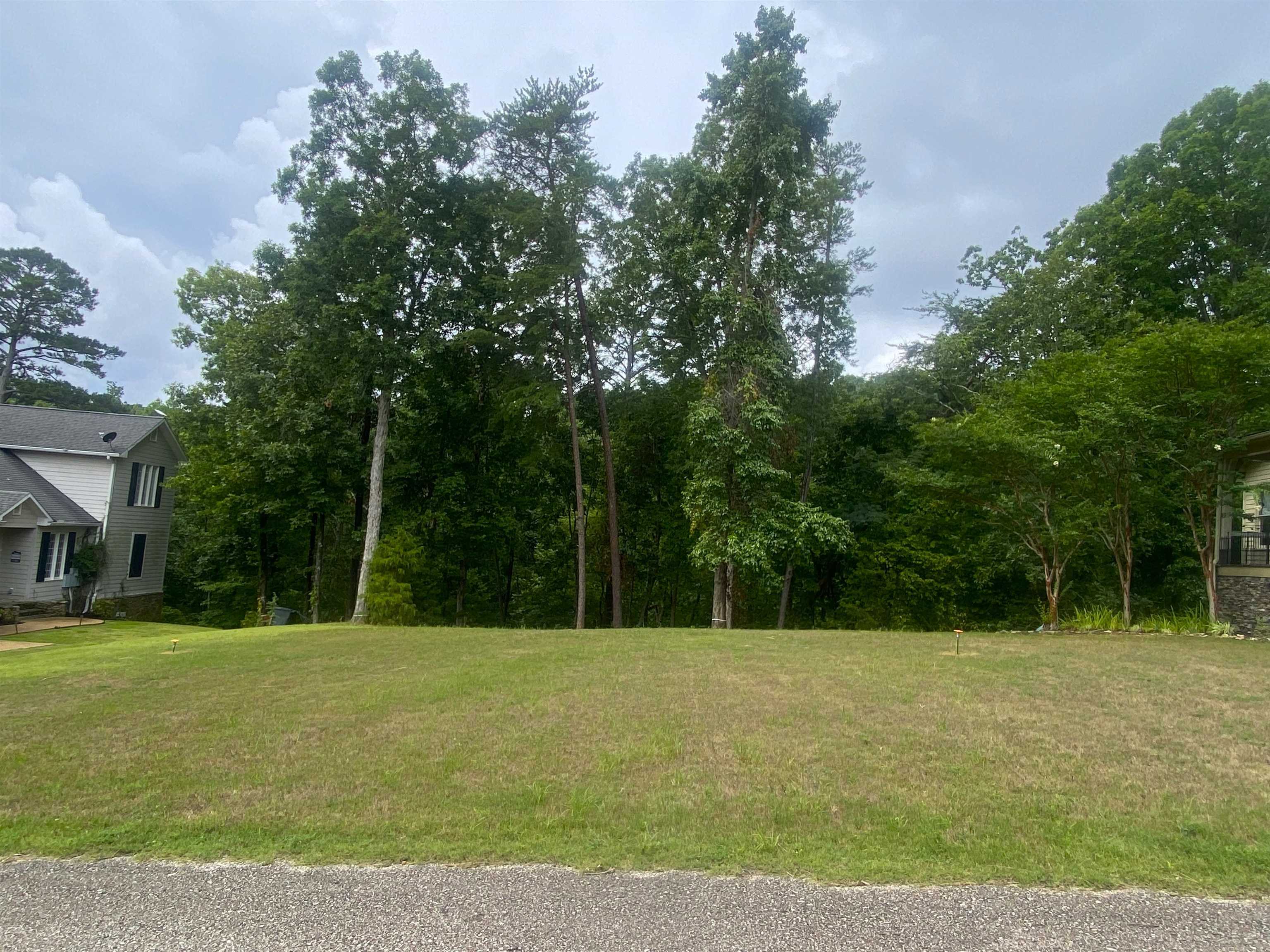 Lot 2 Light Point Savannah, TN 38372 - Photo 2 of 12 Gallery Image 2