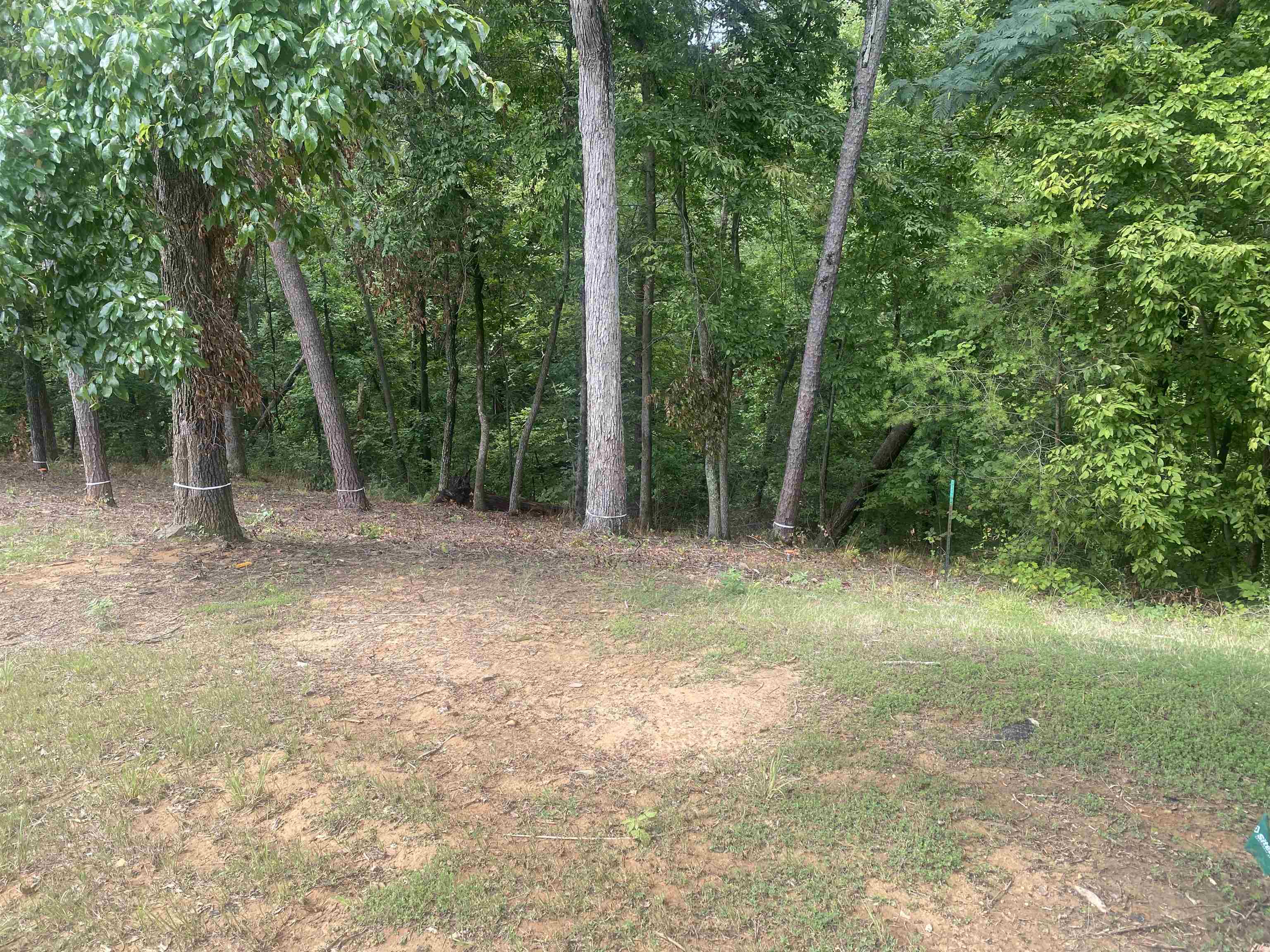 Lot 2 Light Point Savannah, TN 38372 - Photo 10 of 12 Gallery Image 10
