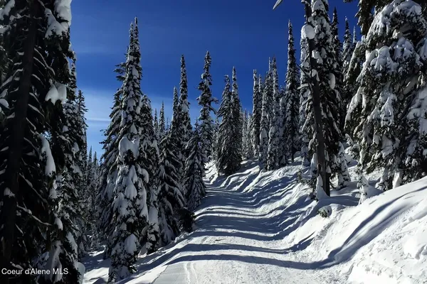 $549,500 | 752 Tall Timber Road, Sandpoint, ID 83864