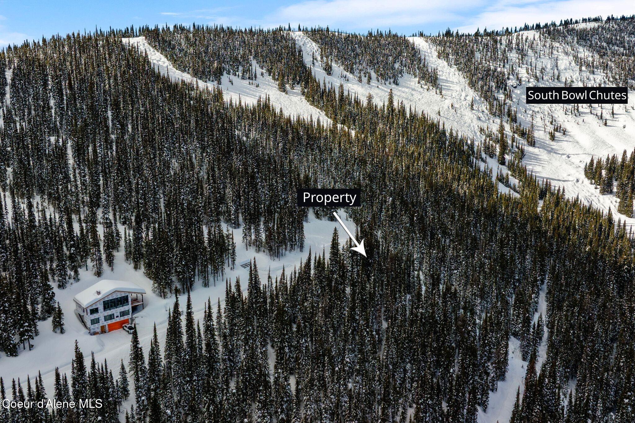 752 Tall Timber Road Sandpoint, ID 83864 - Photo 23 of 68 Ski Trail at Bottom of Lot