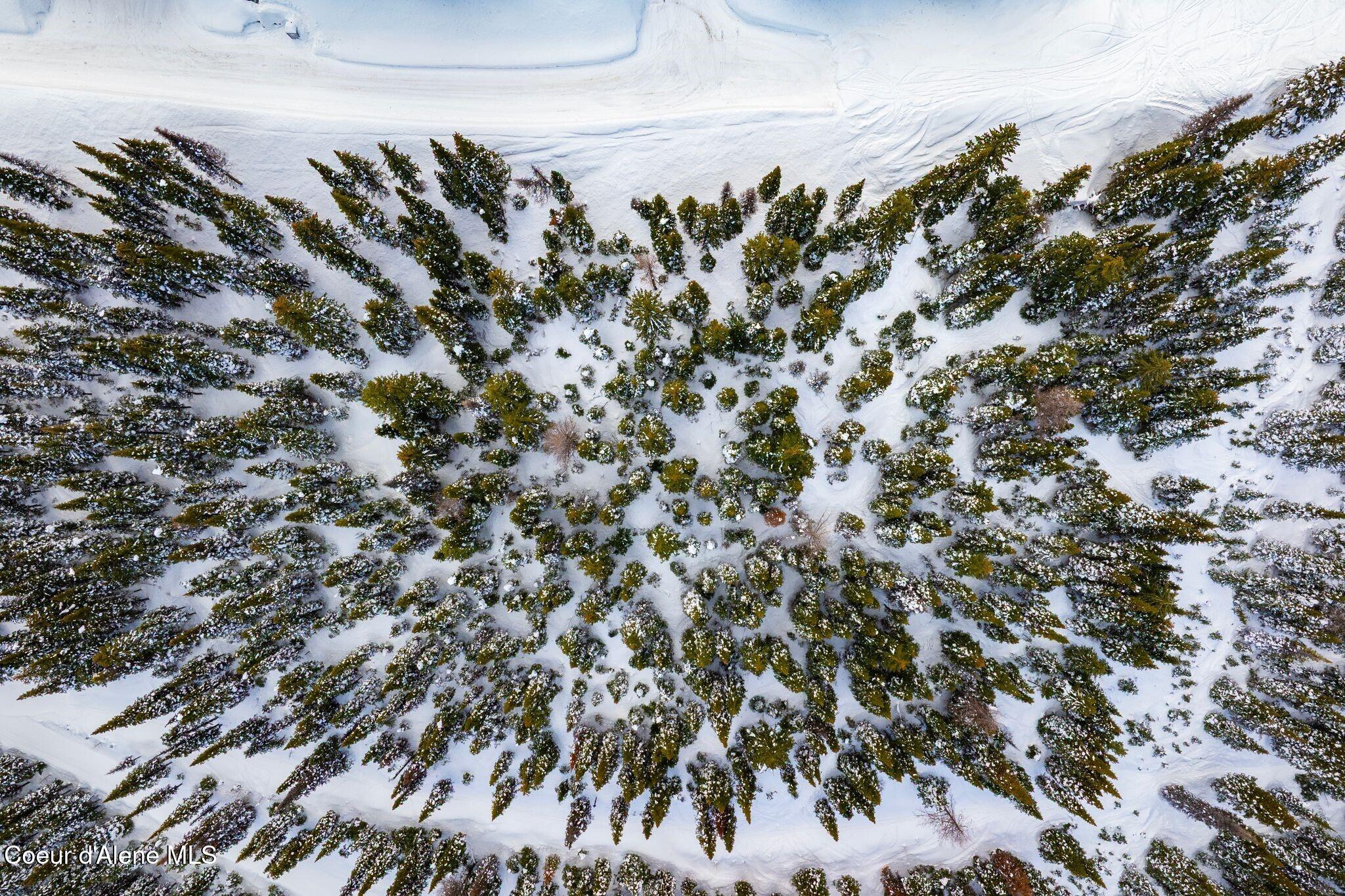 752 Tall Timber Road Sandpoint, ID 83864 - Photo 26 of 68 Lot from Above