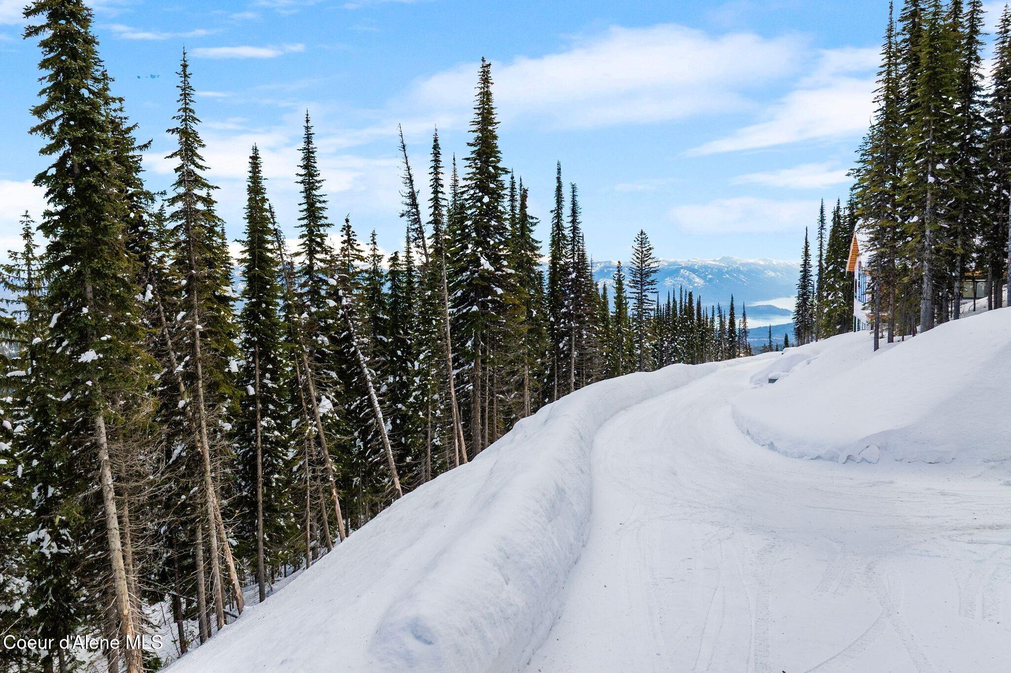 752 Tall Timber Road Sandpoint, ID 83864 - Photo 28 of 68 Road Access