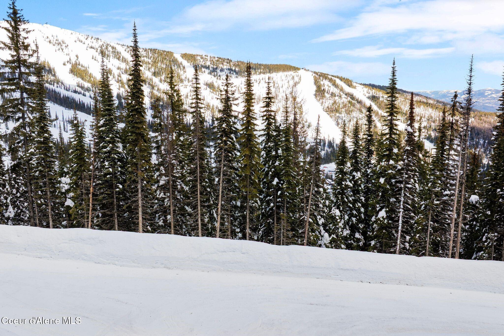 752 Tall Timber Road Sandpoint, ID 83864 - Photo 30 of 68 Lot from Road