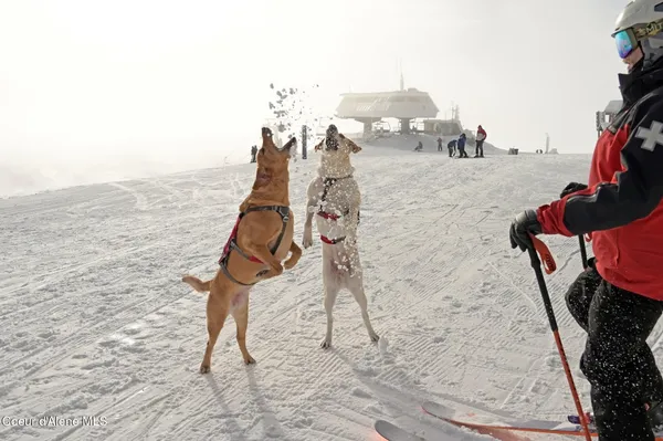 $549,500 | 752 Tall Timber Road, Sandpoint, ID 83864