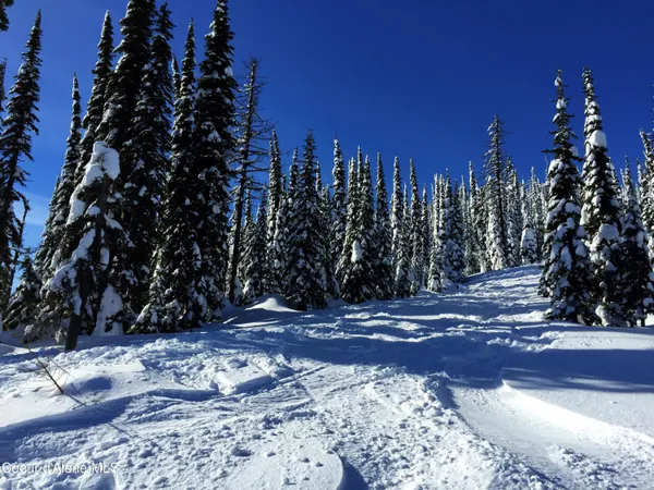 $549,500 | 752 Tall Timber Road, Sandpoint, ID 83864