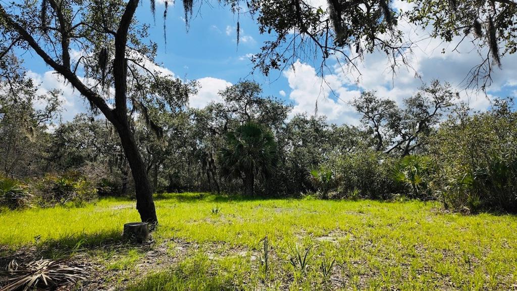 0 Clark Island Cedar Key, FL 32625 - Photo 18 of 24