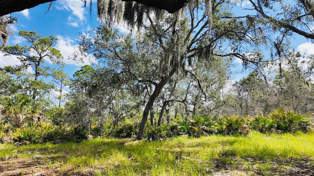 0 Clark Island Cedar Key, FL 32625 - Photo 20 of 24