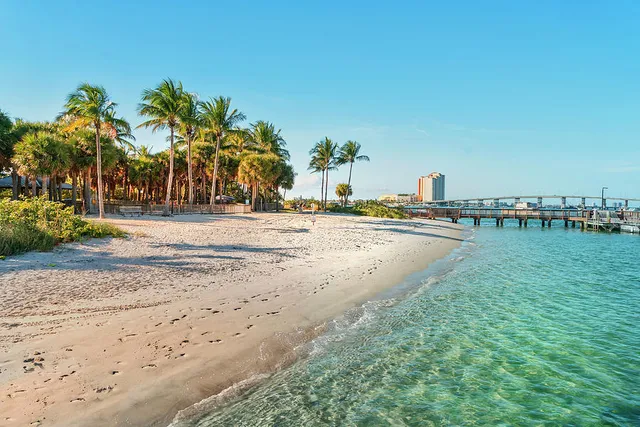 a view of a lake with beach and palm trees