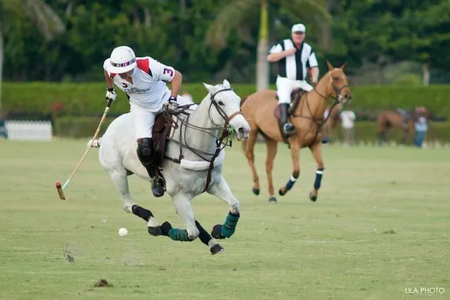 a dining room with a table and chairs