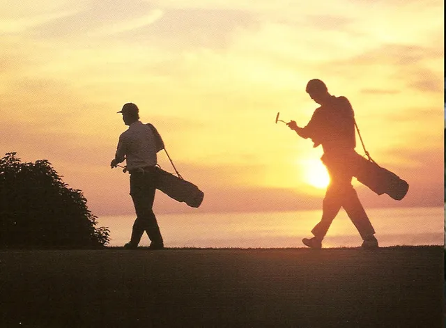 a view of a swimming pool and lounge chair