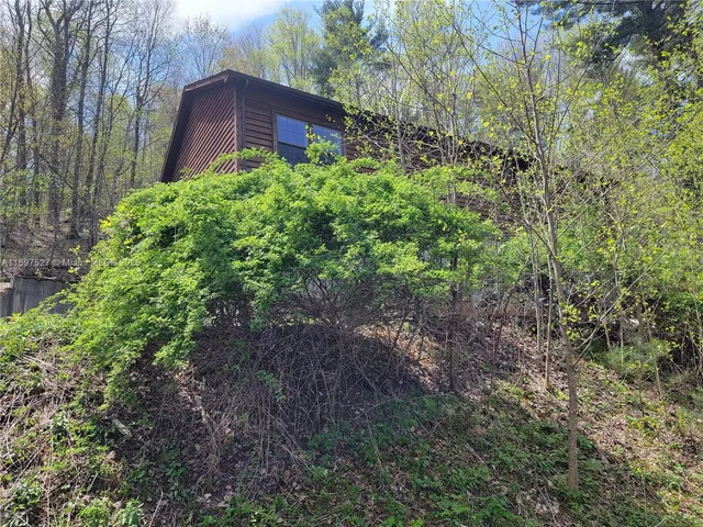 a view of a plants in front of a house