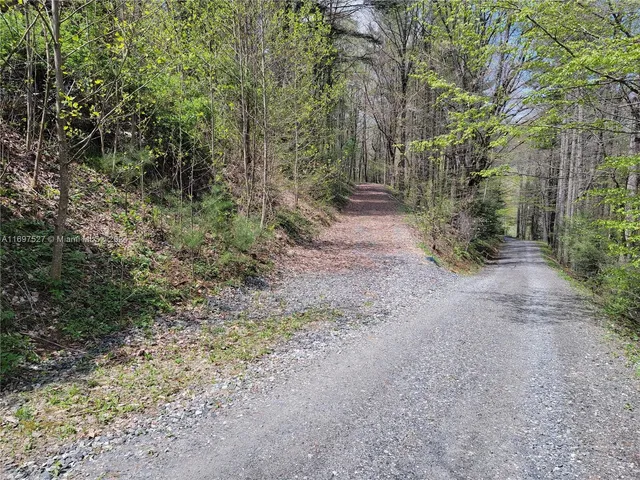 a view of a dirt road with trees in the background