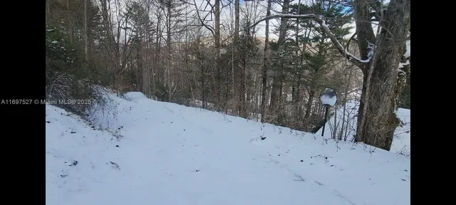 a view of a dry yard