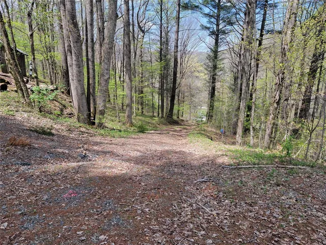 a view of outdoor space with green space