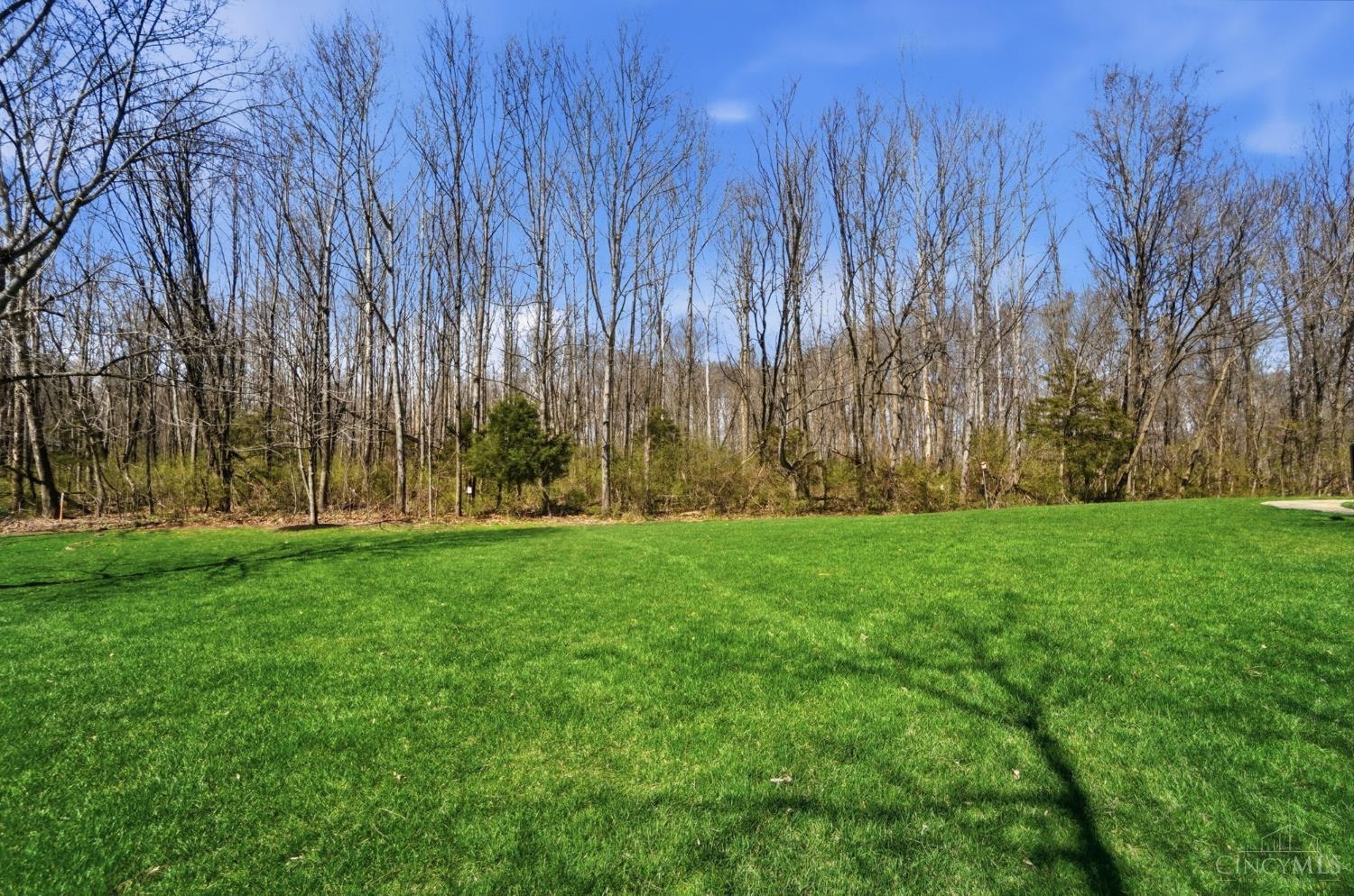 1054 Observatory Point Maineville, OH 45039 - Photo 72 of 82 Plenty of room for lawn games in this nearly 1 acre lot and a view of the protected nature preserve.