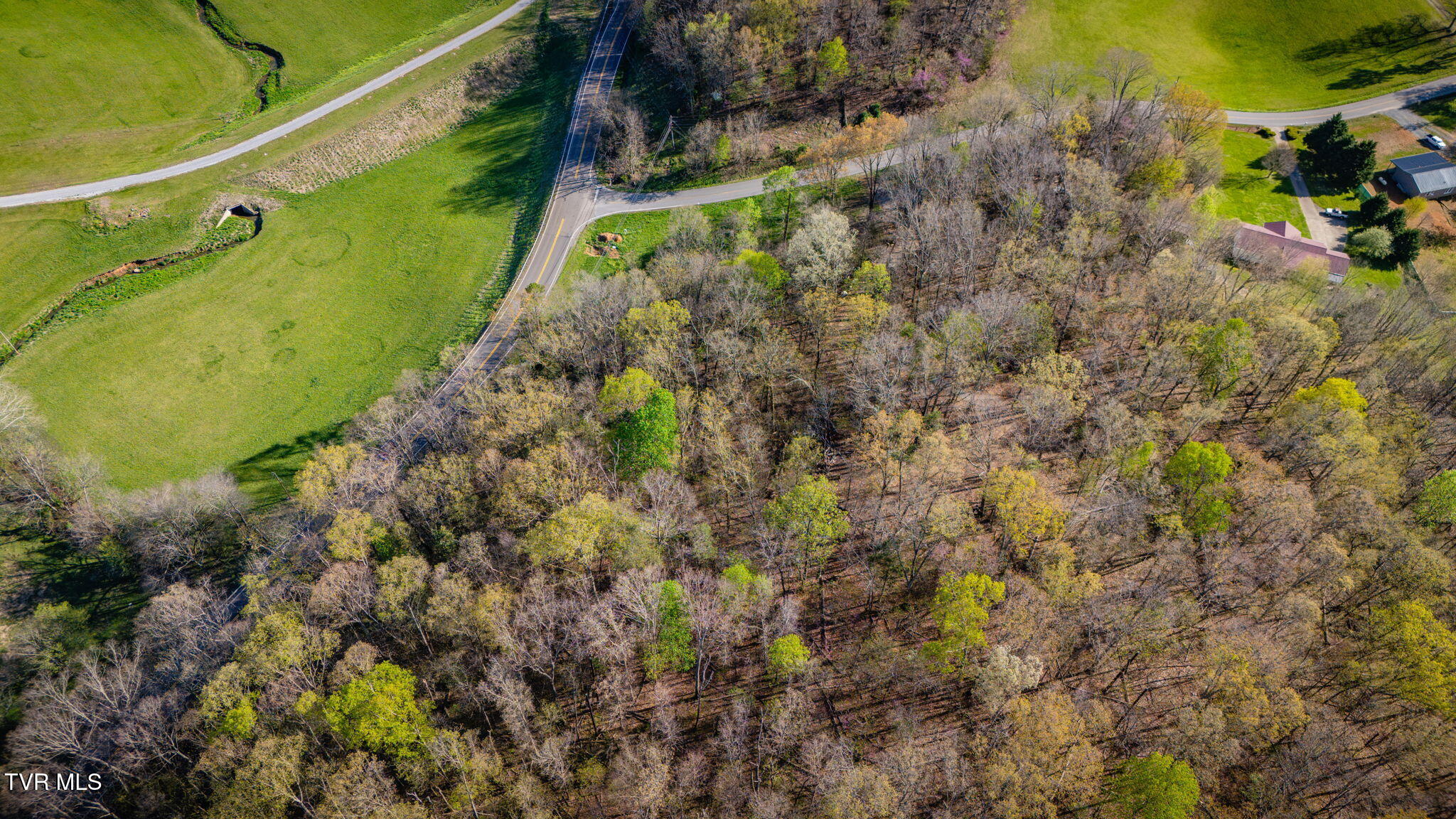 2.74-acres Bright Hope Road, Unit 1214 Greeneville, TN 37743 - Photo 13 of 19 TBD Bright Hope Rd