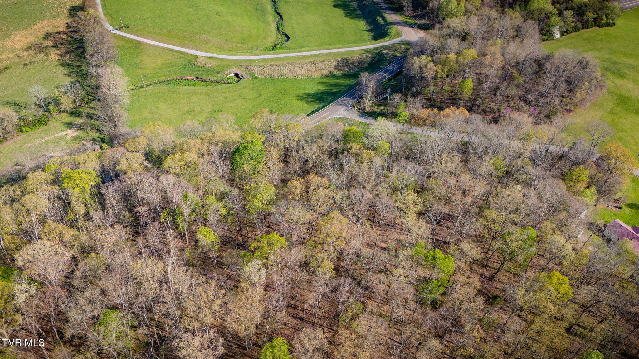 2.74-acres Bright Hope Road, Unit 1214 Greeneville, TN 37743 - Photo 15 of 19 TBD Bright Hope Rd