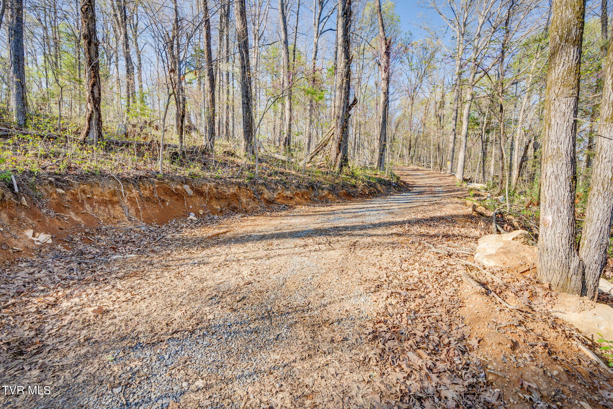 2.74-acres Bright Hope Road, Unit 1214 Greeneville, TN 37743 - Photo 5 of 19 TBD Bright Hope Rd