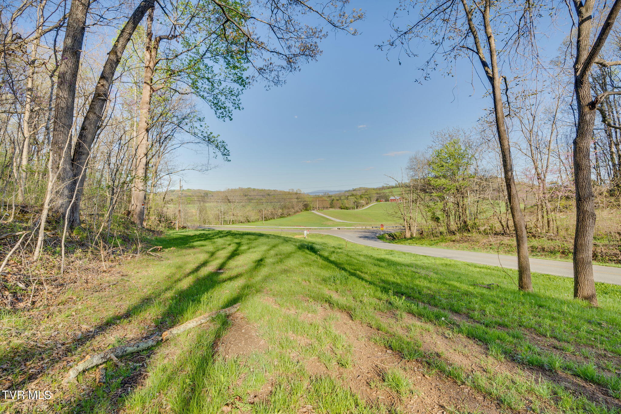 2.74-acres Bright Hope Road, Unit 1214 Greeneville, TN 37743 - Photo 5 of 19 TBD Bright Hope Rd