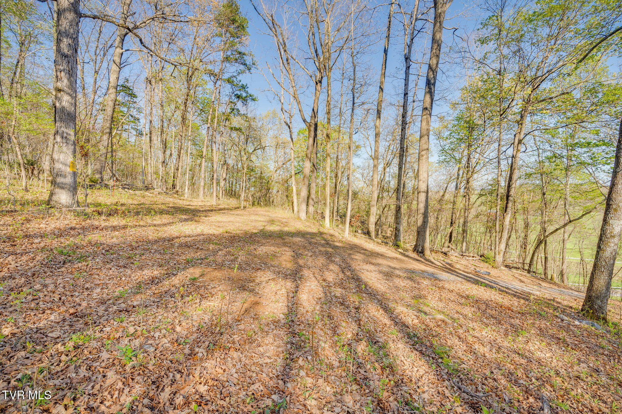 2.74-acres Bright Hope Road, Unit 1214 Greeneville, TN 37743 - Photo 6 of 19 TBD Bright Hope Rd