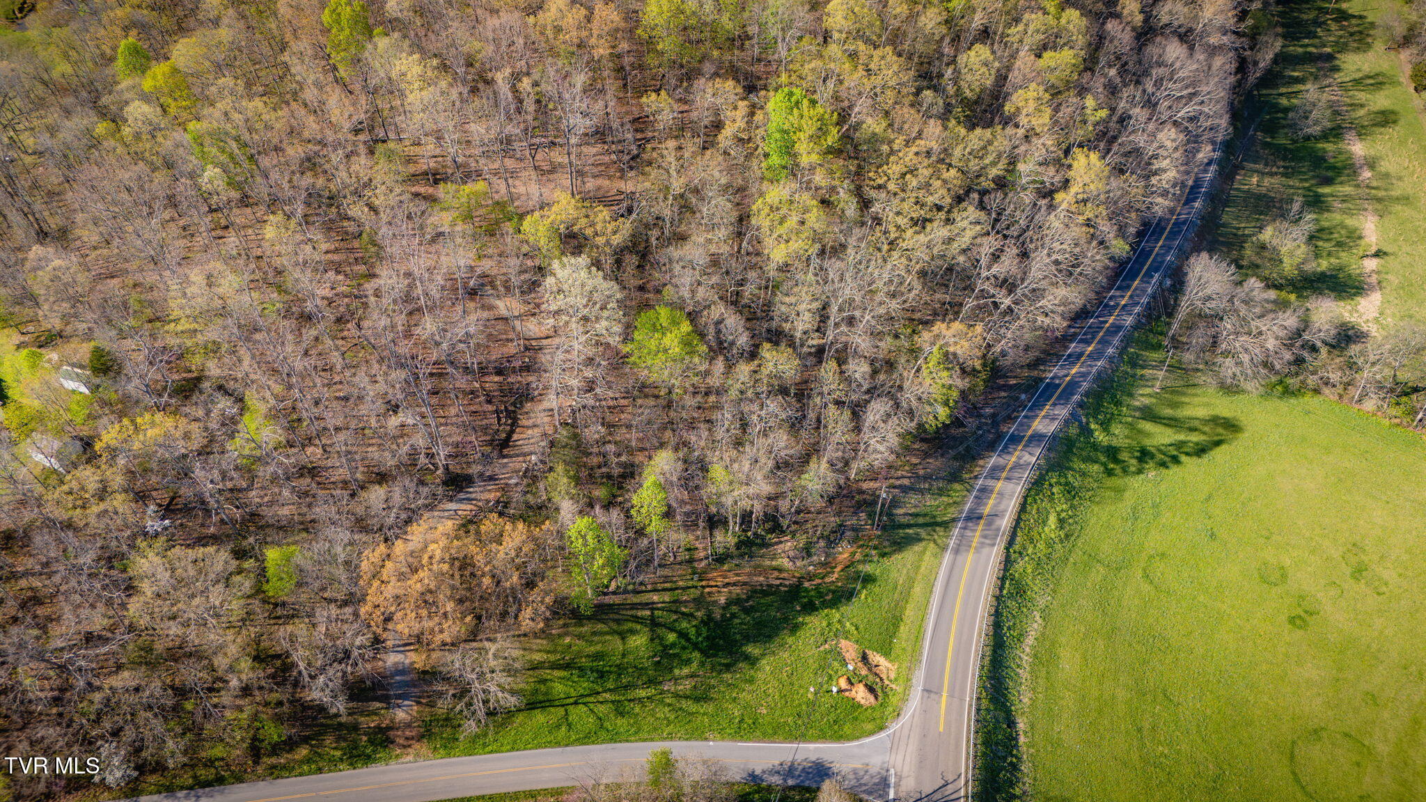 2.74-acres Bright Hope Road, Unit 1214 Greeneville, TN 37743 - Photo 7 of 19 TBD Bright Hope Rd