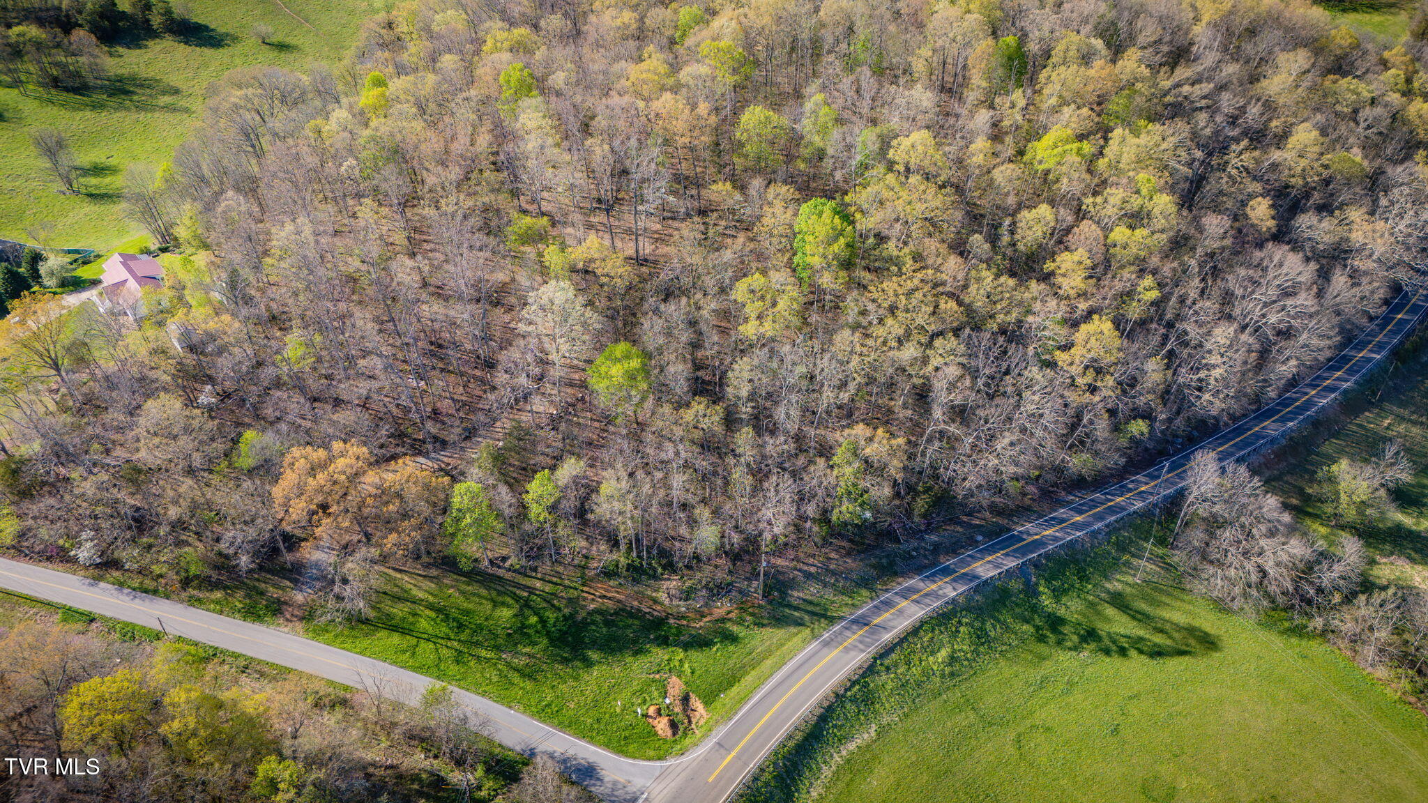 2.74-acres Bright Hope Road, Unit 1214 Greeneville, TN 37743 - Photo 10 of 19 TBD Bright Hope Rd