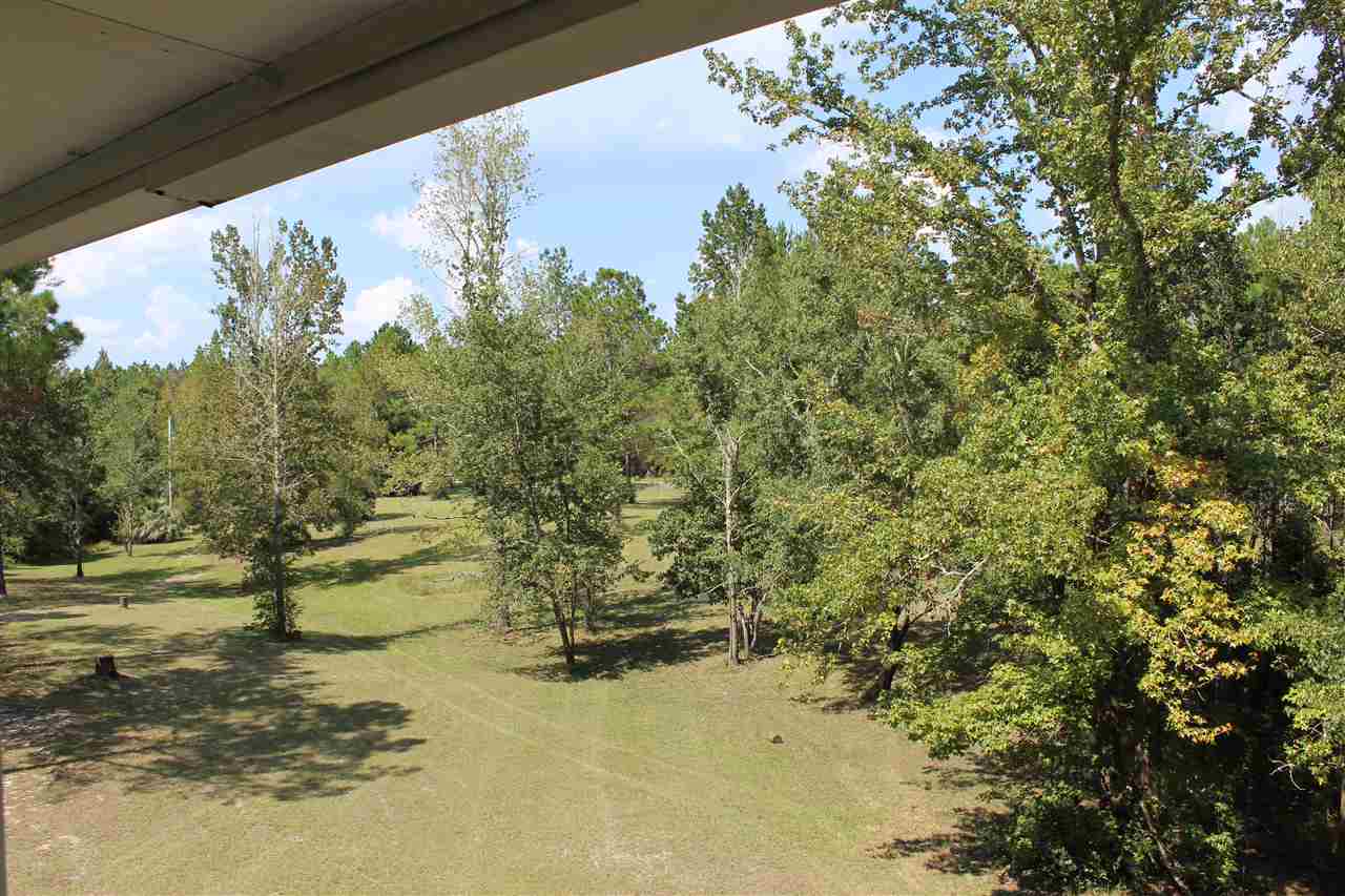 25608 Goat Cooper Road Robertsdale, AL 36567 - Photo 13 of 18